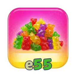 e55